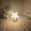 Star Moon Table Lamp Usb Chargeable (3 Shades)